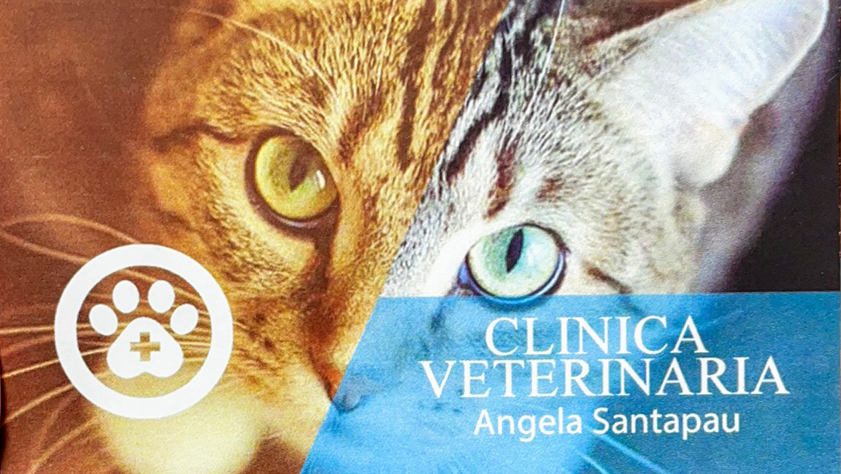 Clinica Veterinaria Oliva. Angela Santapau