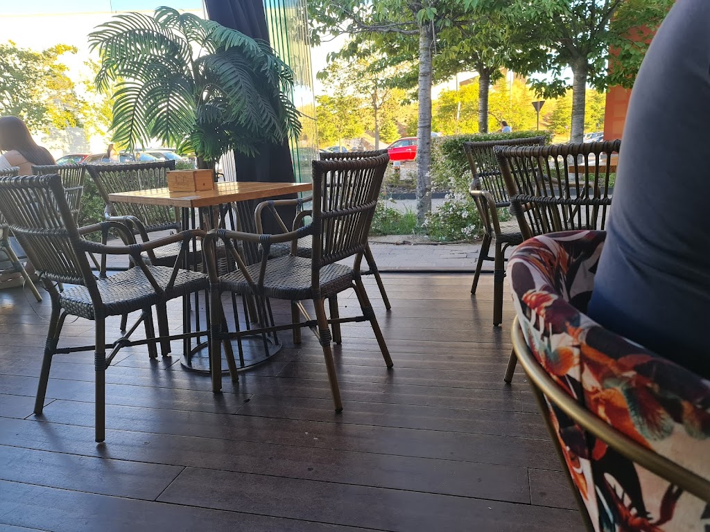 Anubis Cocteleria (Xanadu)