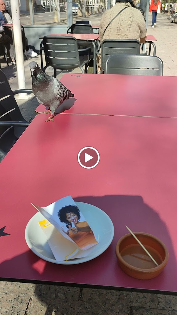 Bar Diari — Videos