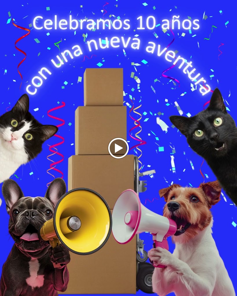 Vetalliance Clinica Veterinaria — Videos