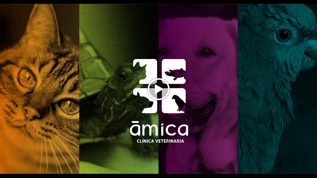 Clinica Veterinaria Amica — Del propietario