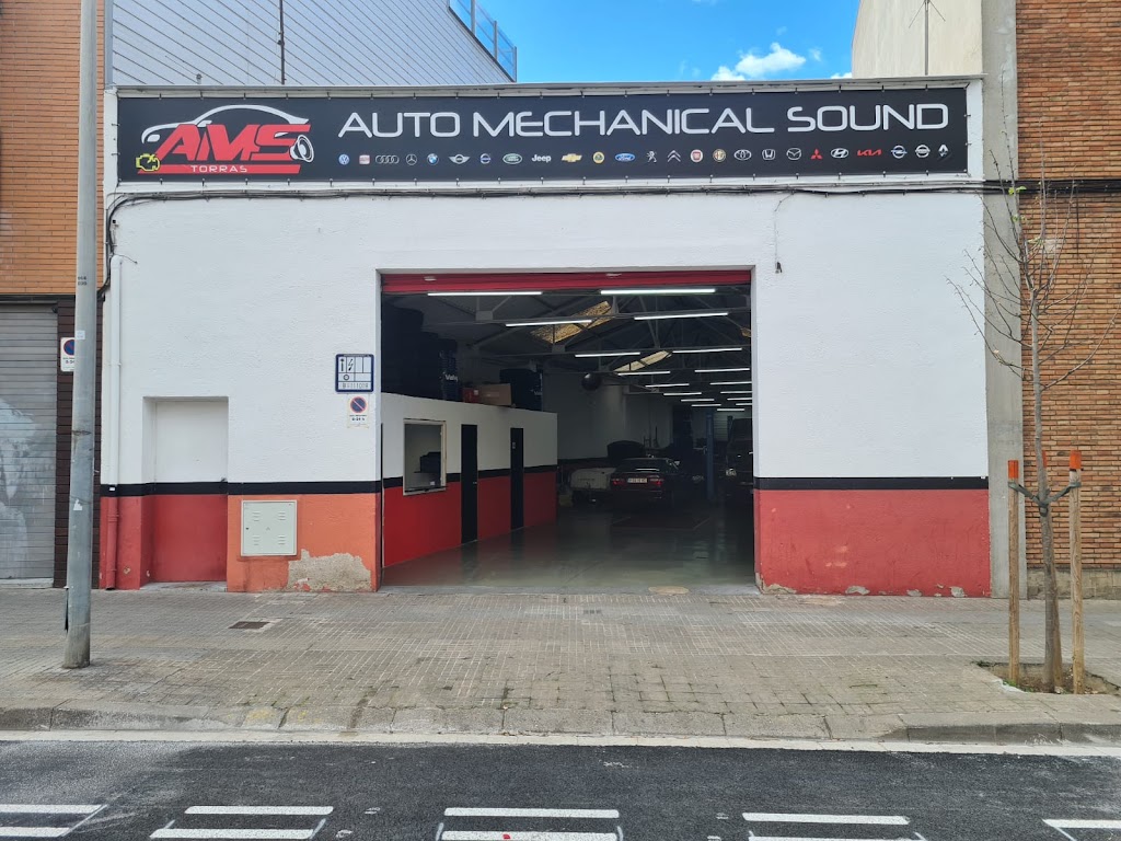 AMS Torras