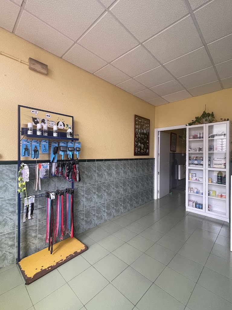 Centro Veterinario A Estrada