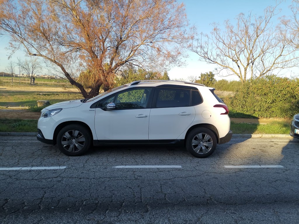 JNJ MOTOR — Hatchback