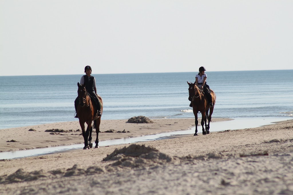 Rutas a caballo Gandia