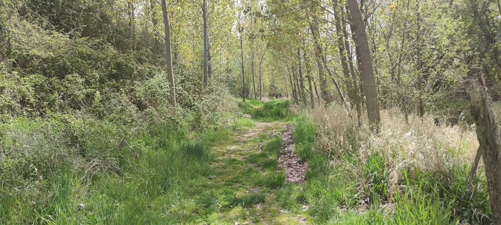 Ruta de rio Orbigo