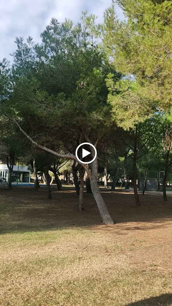 Restaurante El Quinto Pino — Videos