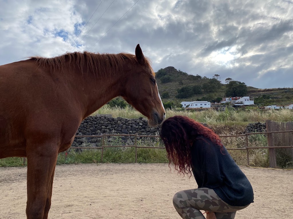 Finca Ecuestre Essential — Del propietario