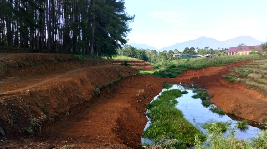 Hutan Pinus SMK-SPP Negeri Kerinci
