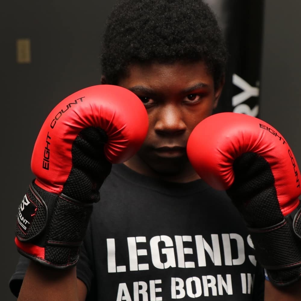  Beast FX3 Boxing and Fitness