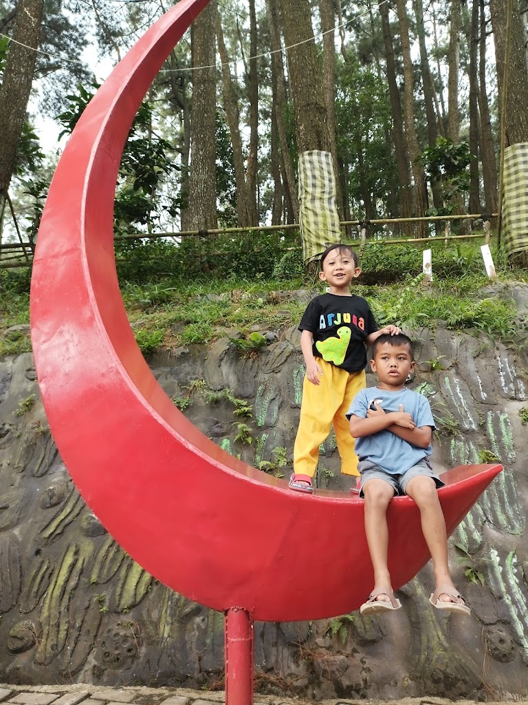 Puncak Pinus Cikalong Kulon (Trans Jonggol)