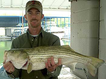 Lake Texoma Guide Service