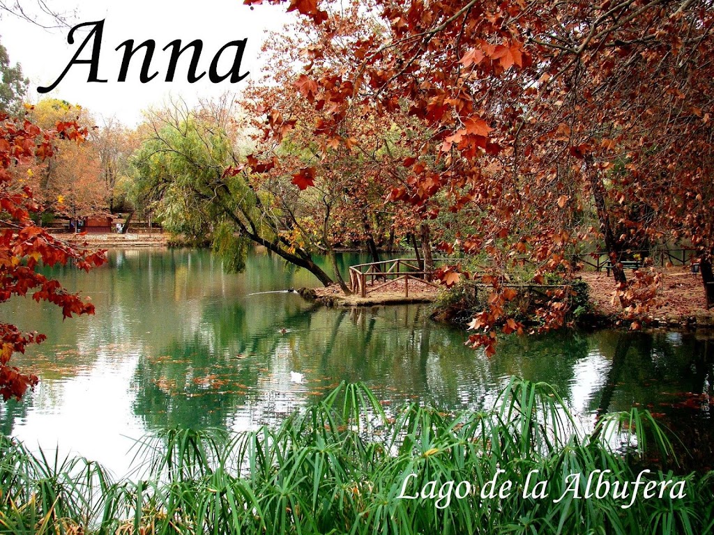 Albufera d'Anna - Llac
