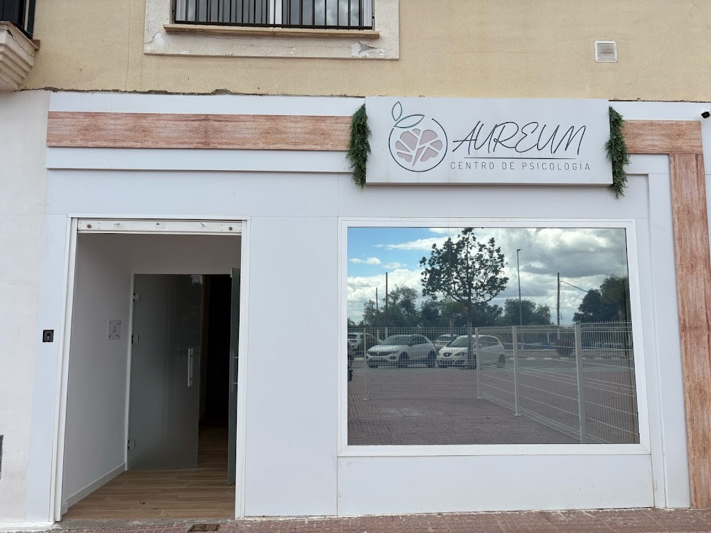 AUREUM CENTRO DE PSICOLOGIA