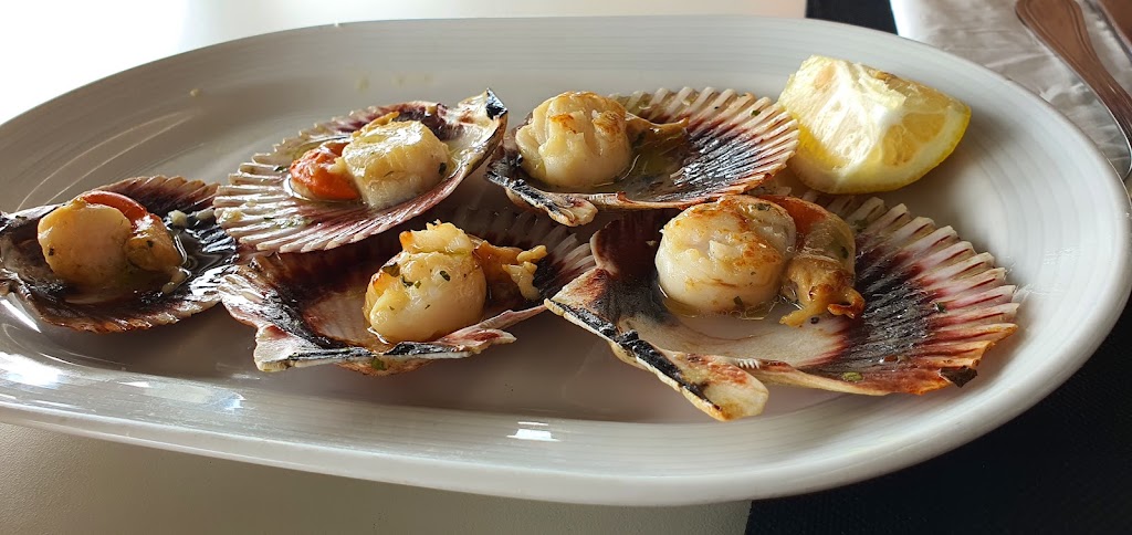 Bar Restaurante Zamorano — Pectinidae