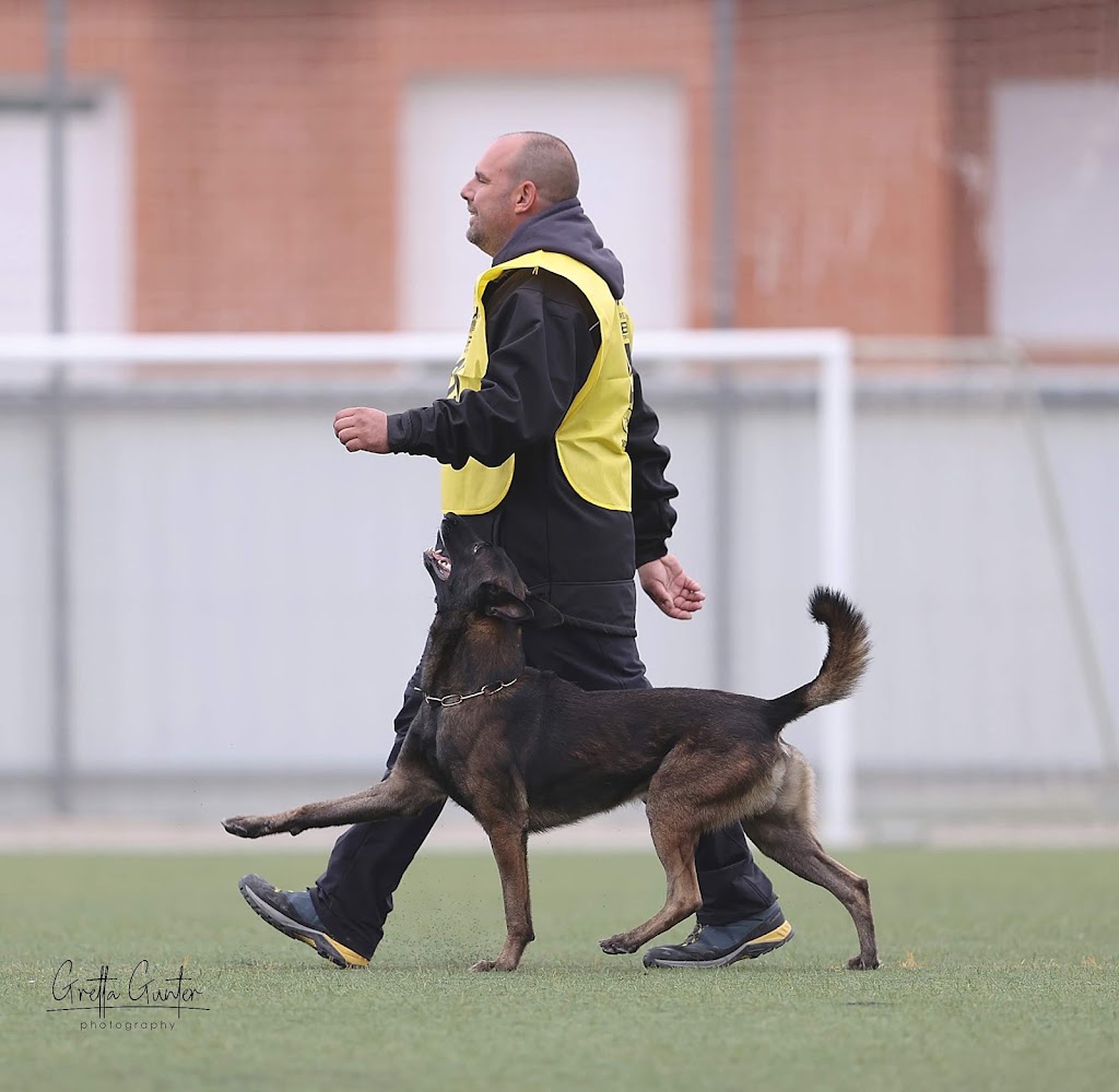 AMIGOMIO — Perro