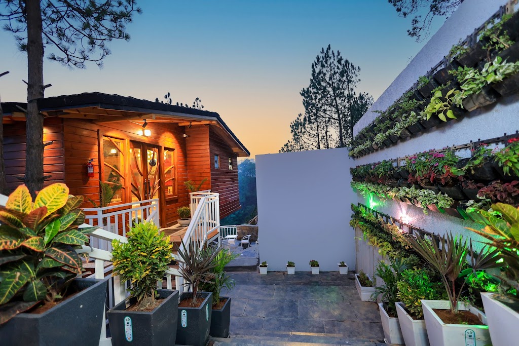 Koro Treehouse Resort