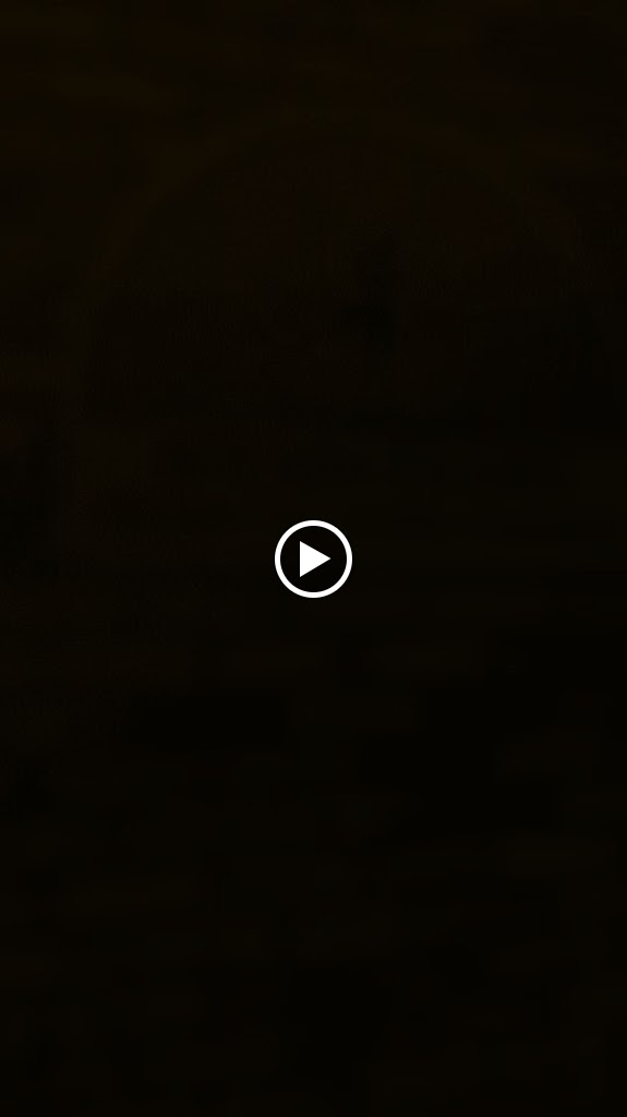  Training with Tamara | Solara Studio