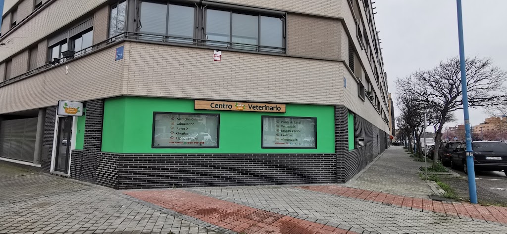 Clinica Veterinaria Animal Kingdom