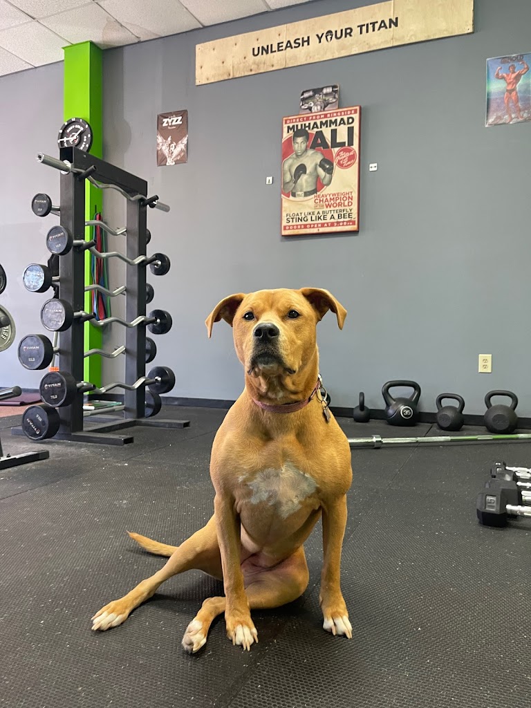  The Lab Personal Training