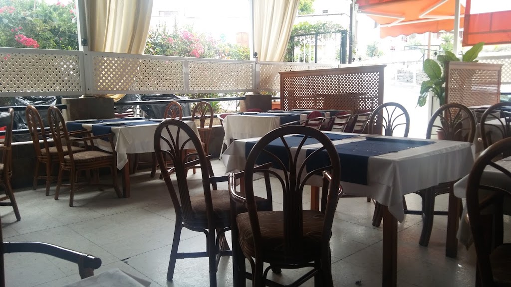 Terraza el Patio — Ambiente