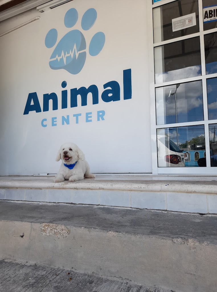 Animal Center