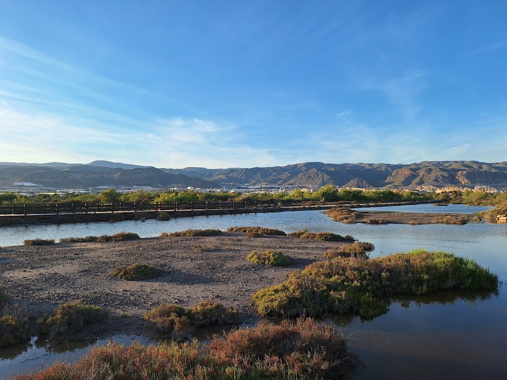 Humedal Ribera de la Algaida