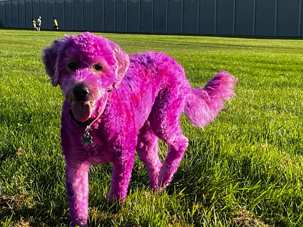 Dreamscape Grooming in Tooele