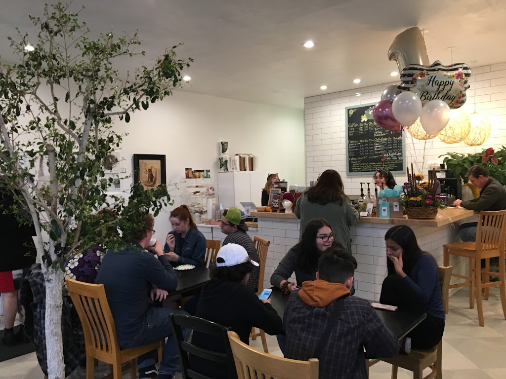 Photo of Tinker's Cat Cafe