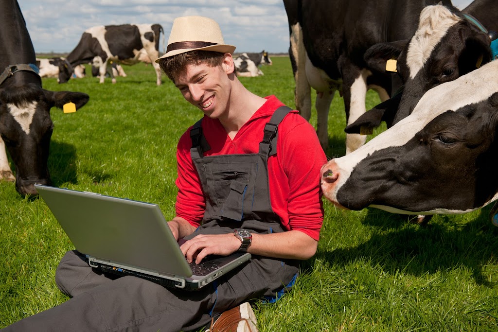 Screamin Cow Marketing Group