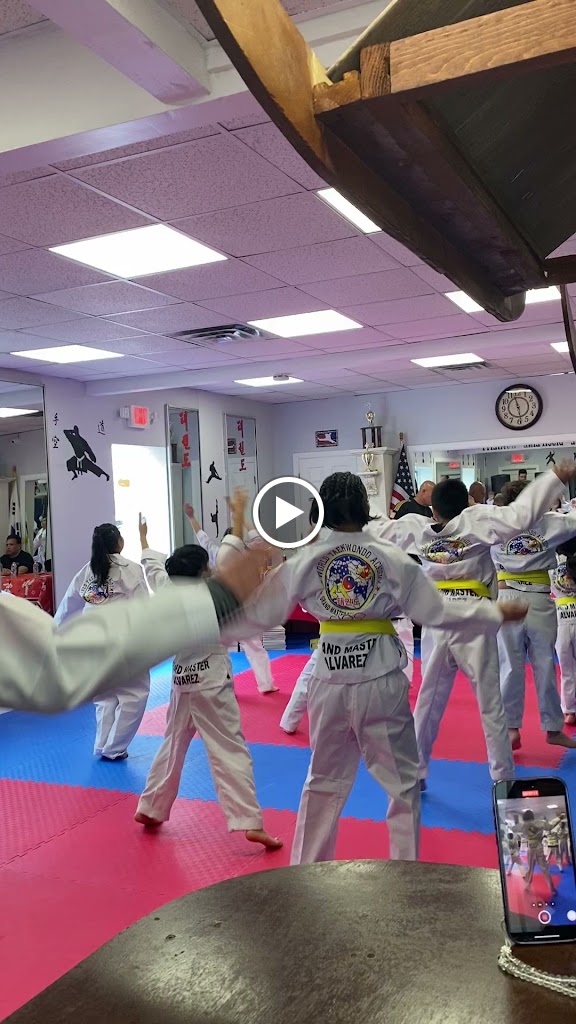  LI World Taekwondo Academy