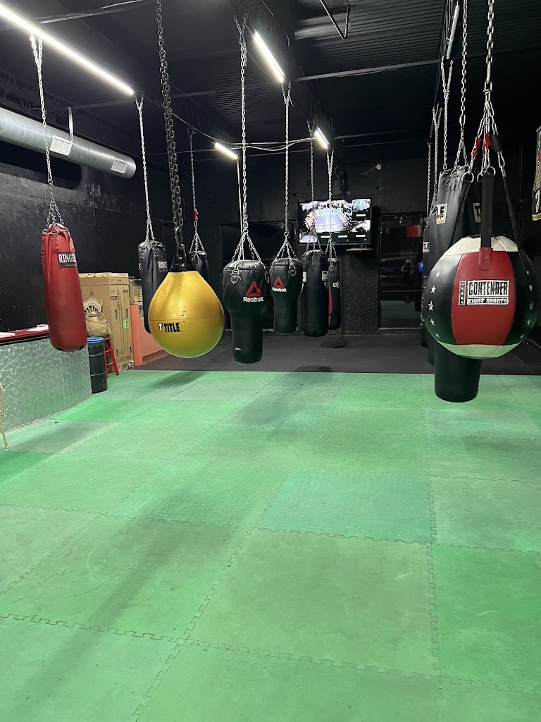  AlphaBox Boxing & Fitness