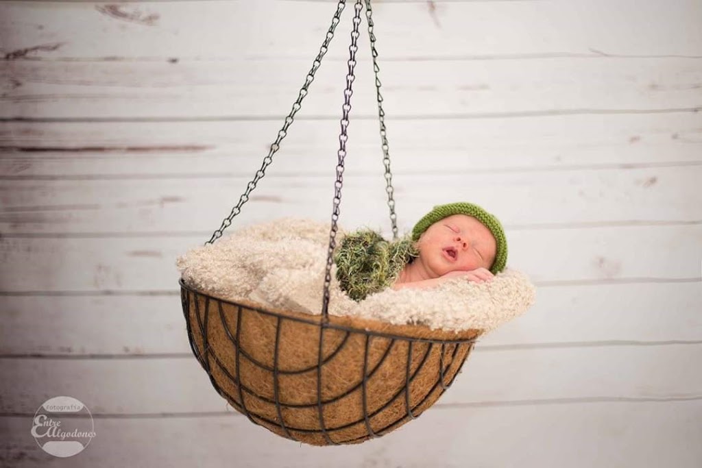 Fotografia Entre Algodones