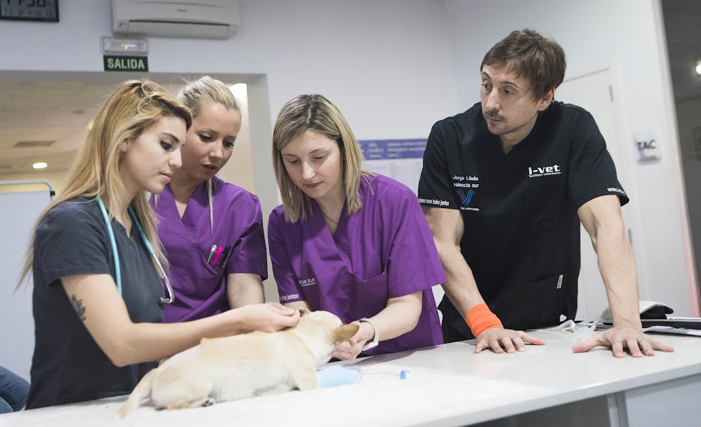 I-Vet Instituto Veterinario