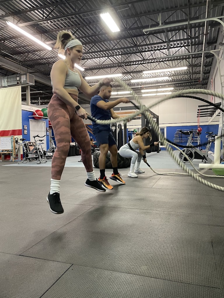  The Rack Strength and Performance