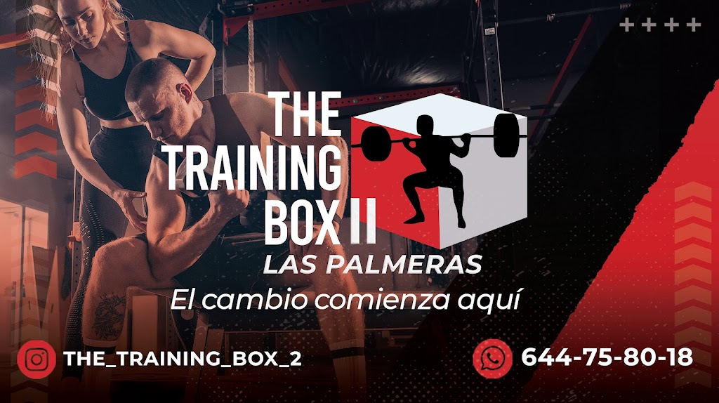 The Training Box - Las Palmeras