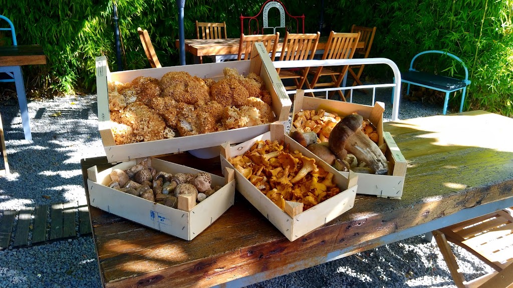 Bons Tempos Restaurante e Petiscos — Comida y bebida
