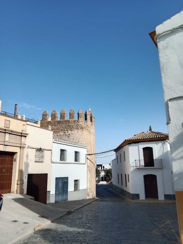 Torre semicircular o cubo del angulo este del antiguo amurallado de Marchena, Sevilla