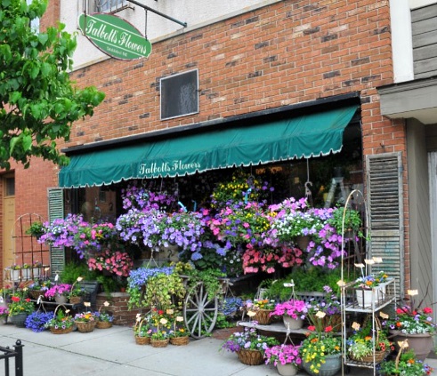Talbott's Flowers