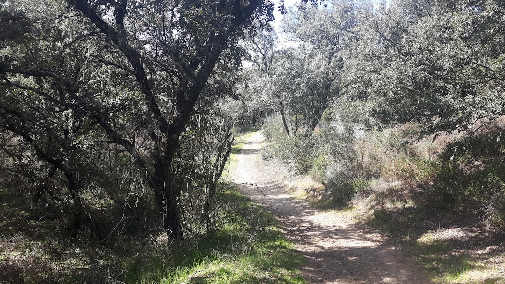Ruta Ecologica del Barranco de Hormigos