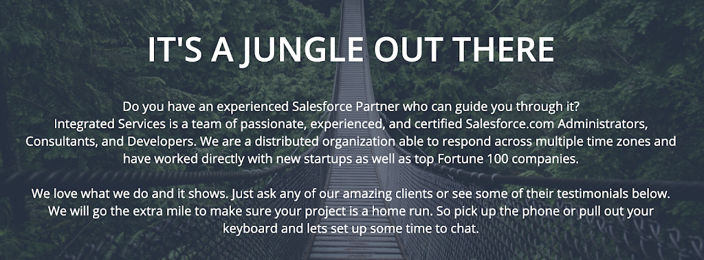 Integrated Services | Registered Salesforce.com Consulting Partner