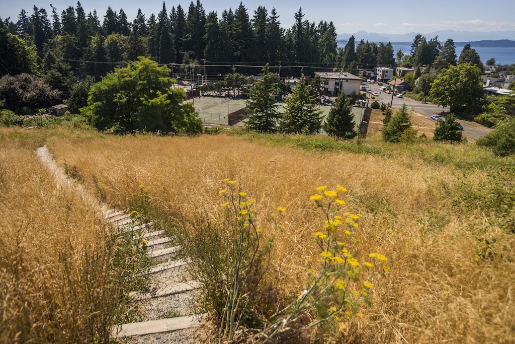 Solstice Park
