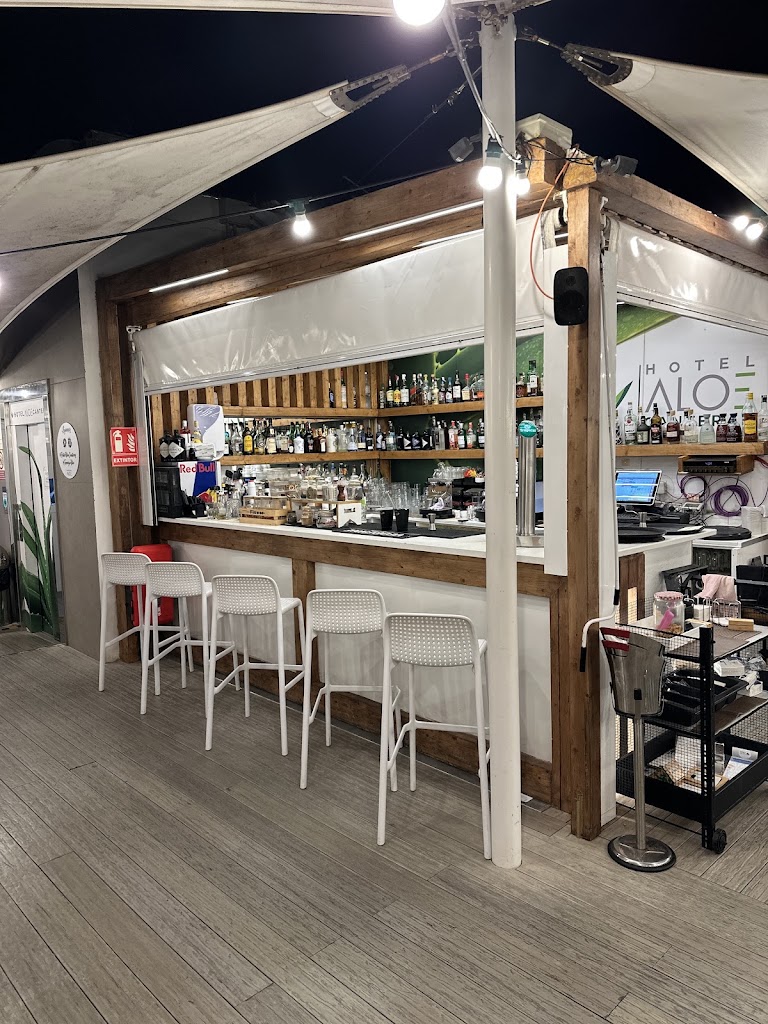 Rooftop & Terrace Aloe — Mas recientes