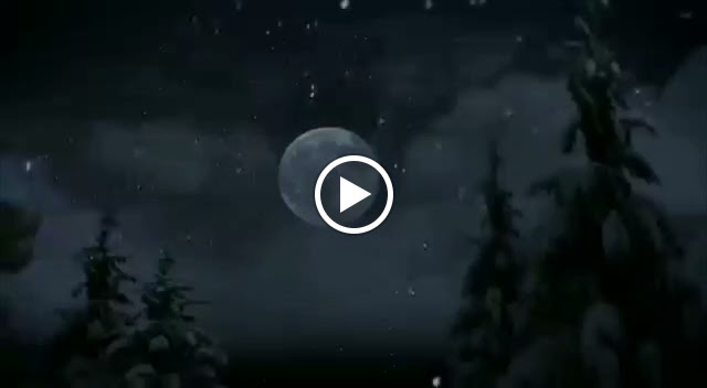 Desguace La Roca — Videos