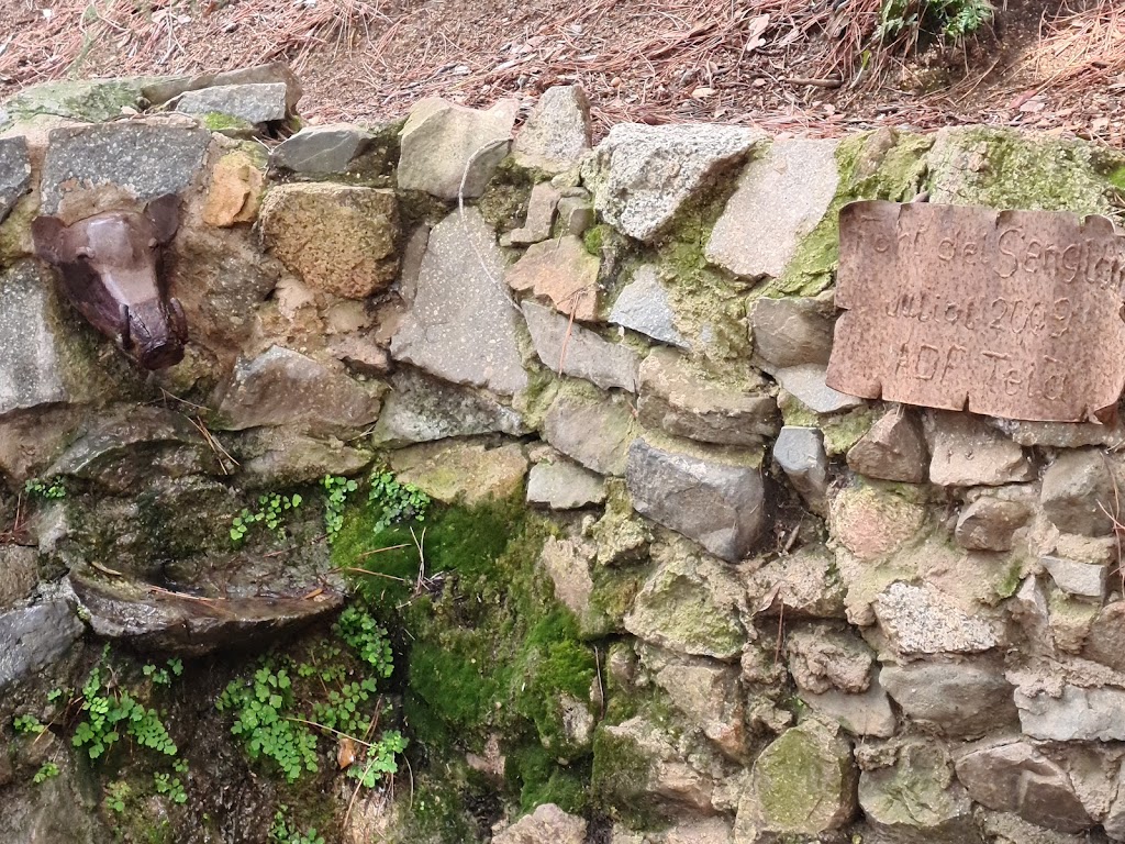 Font del Senglar