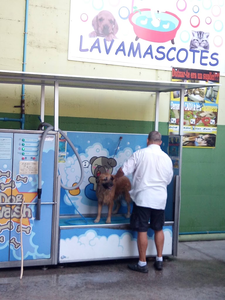 LavaloTodo, Santa Coloma — Exterior