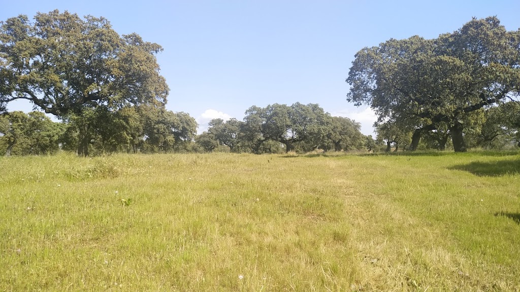Parque Periurbano de Conservacion y Ocio Dehesa de Moheda Alta