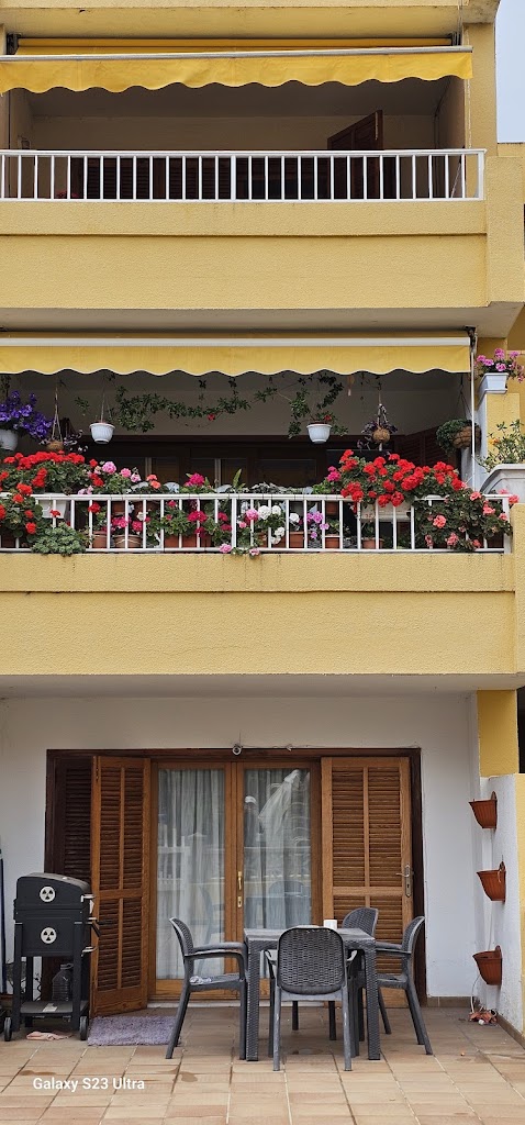 Asia Doner kebab Santurtzi