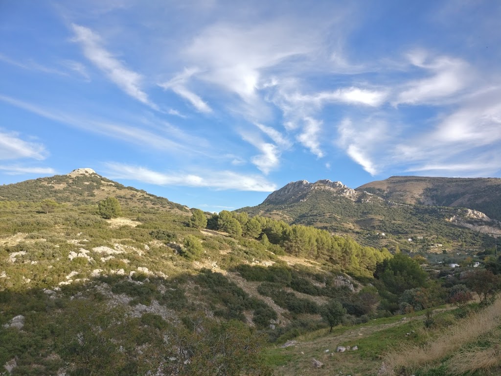 Fuente del Palo