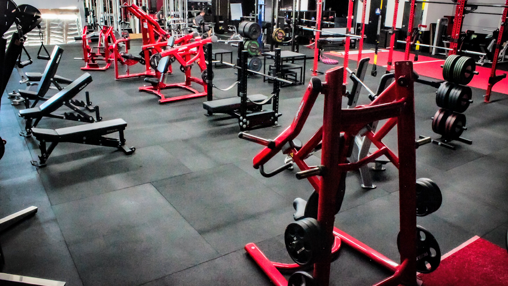  Superior Barbell Club